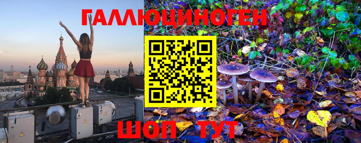 Галлюциногенные грибы GOLDEN TEACHER  Псилоцибиновые грибы MAGIC MUSHROOMS  Вход с VPN  Великие Луки 